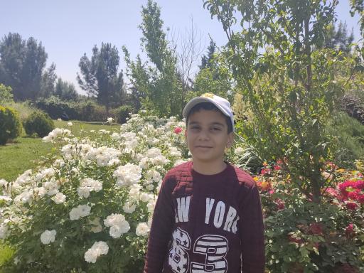 عکس بوستان طبیعت