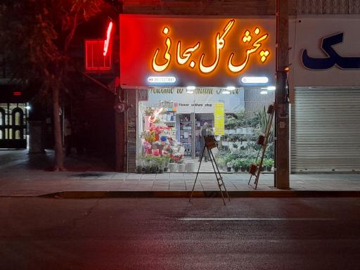 عکس پخش گل سبحانی 