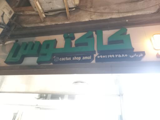 عکس فروشگاه لباس زنانه کاکتوس