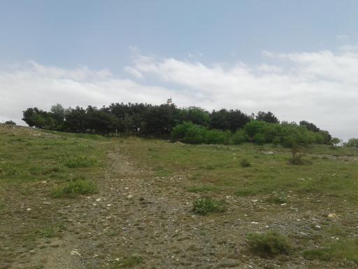 عکس پارک جنگلی اسد آباد