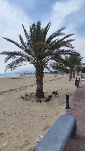 عکس بندر چارک