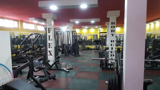 عکس باشگاه بدنسازی فلکس