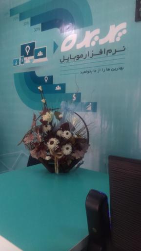 عکس گروه نرم افزاری پدیده