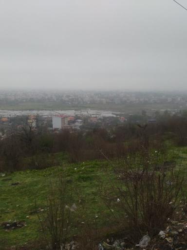 عکس پارک جنگلی اسد آباد