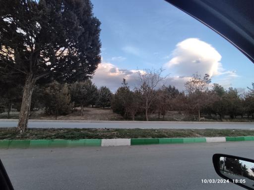 عکس پارک جنگلی شهید بهشتی