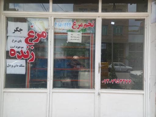 عکس مرغ زنده فروشی سلیمی