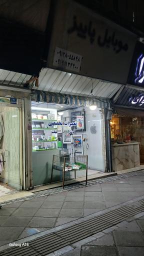 عکس موبایل پاییز 