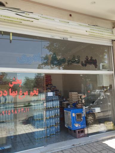 عکس پخش تخم مرغ 