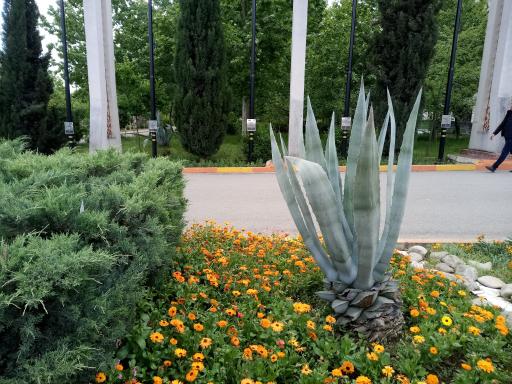 عکس بوستان ملل