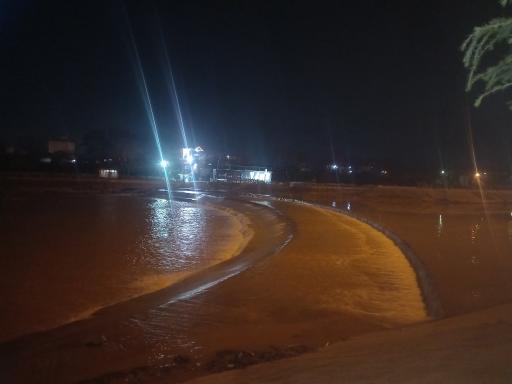 عکس بوستان ملل