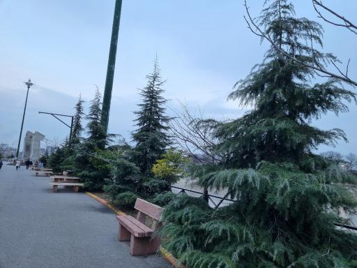 عکس بوستان ملل