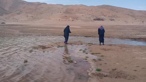 عکس ساحل سد کارده