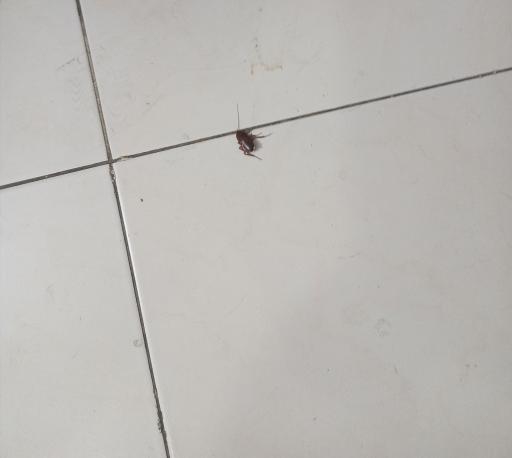 عکس مجتمع اقامتی مهربان