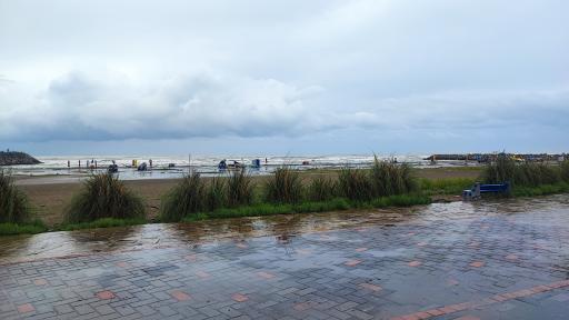 عکس سازمان منطقه آزاد انزلی