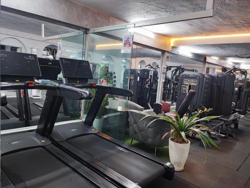 عکس باشگاه بدنسازی دنیای قدرت