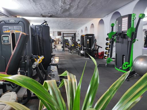 عکس باشگاه بدنسازی دنیای قدرت