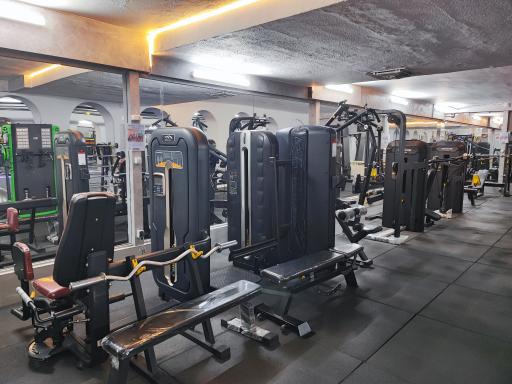 عکس باشگاه بدنسازی دنیای قدرت