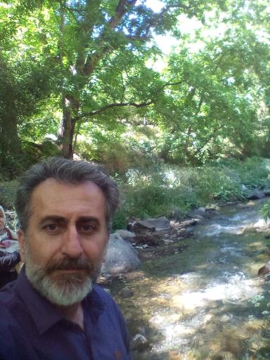 عکس کردان