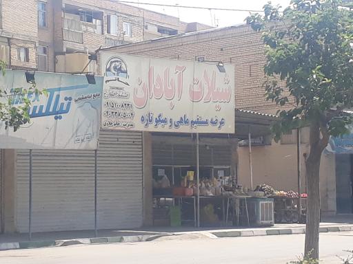 عکس شیلات آبادان