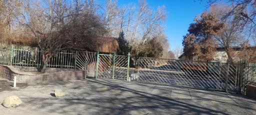 عکس جوجه کشی ایران روشن