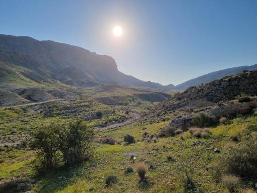 عکس فراشبند