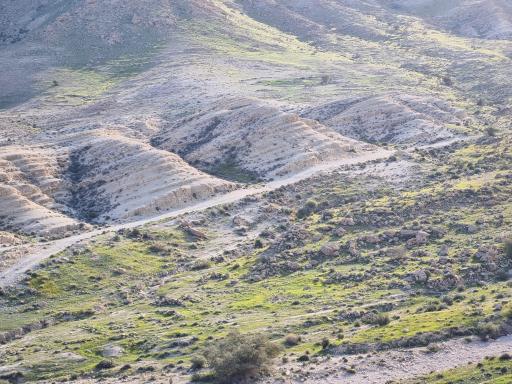 عکس فراشبند