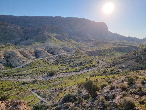 عکس فراشبند