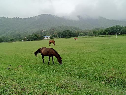 عکس زمین ورزشی شهدای سیاه منسه پایین