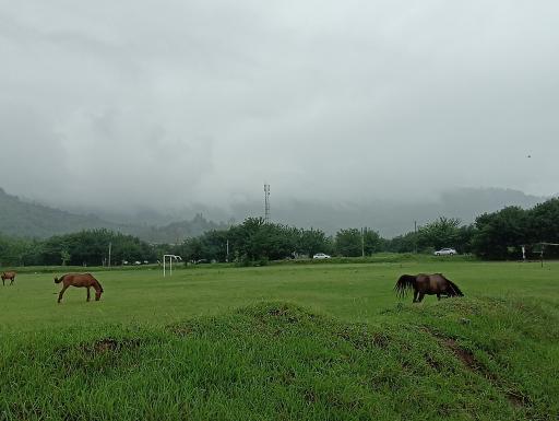 عکس زمین ورزشی شهدای سیاه منسه پایین