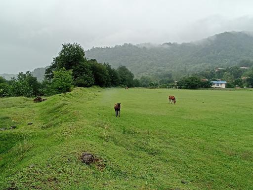 عکس زمین ورزشی شهدای سیاه منسه پایین