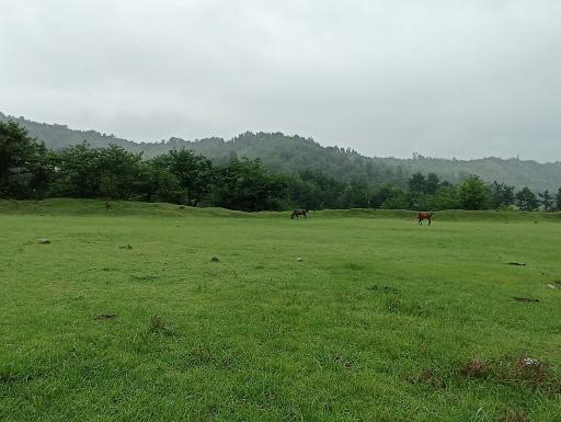 عکس زمین ورزشی شهدای سیاه منسه پایین