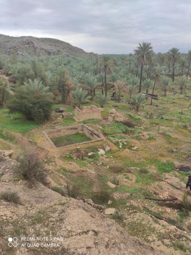 عکس فراشبند