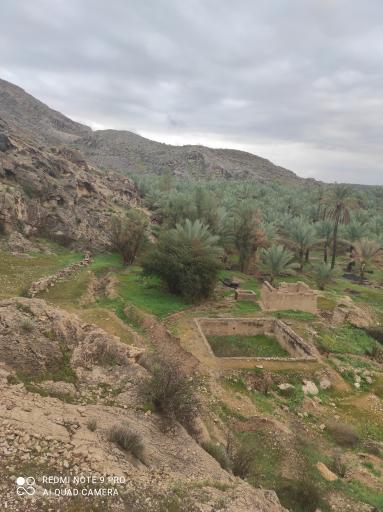 عکس فراشبند