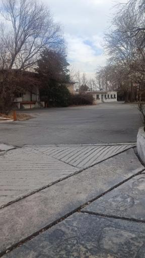 عکس جوجه کشی ایران روشن