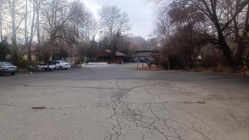 عکس جوجه کشی ایران روشن