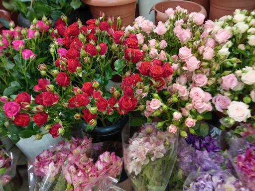 عکس گلخانه  گلبس