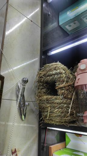 عکس پخش ملزومات پرندگان زینتی مجید