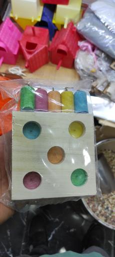 پخش ملزومات پرندگان زینتی مجید