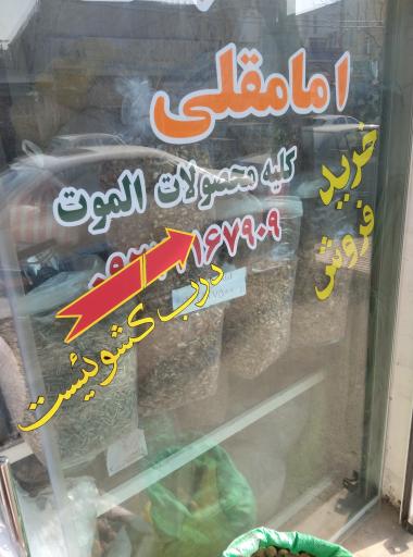 عکس خشکبار امامقلی