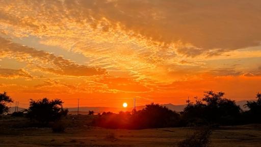 عکس فراشبند