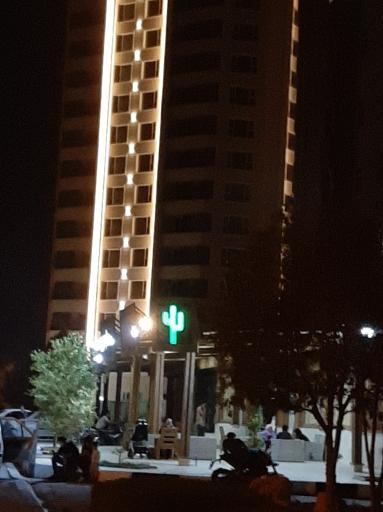 عکس مجموعه غذایی کاکتوس