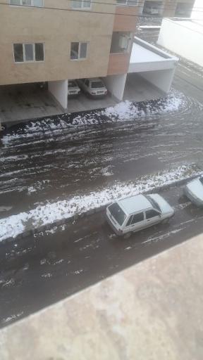 عکس مجتمع شاملو 2