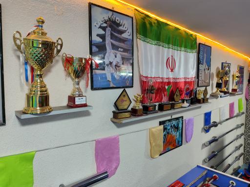 عکس باشگاه ورزشی ایرانا