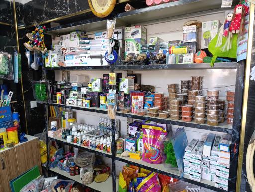 عکس آکواریوم شهر ماهی