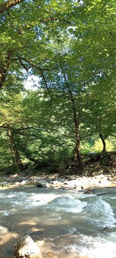 عکس رودخانه اسالم به خلخال