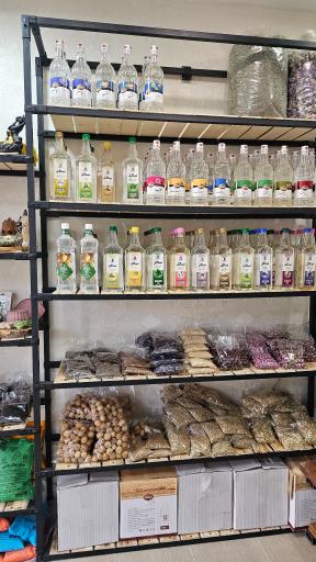 عکس گیاهان دارویی ارکیده