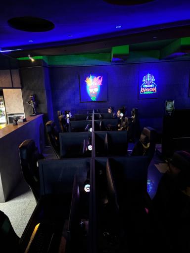 عکس گیم نت کرگدن