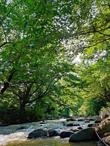 عکس رودخانه اسالم به خلخال