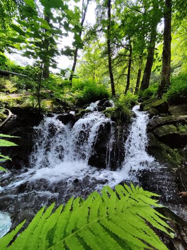 عکس رودخانه اسالم به خلخال