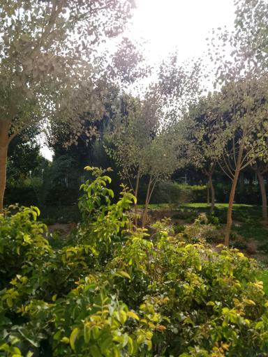 عکس بوستان پاکبان